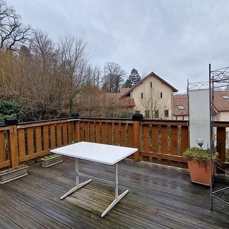 Bel Appartement 120 M² Tres Lumineux Avec Terrasse Morvillars Екстериор снимка